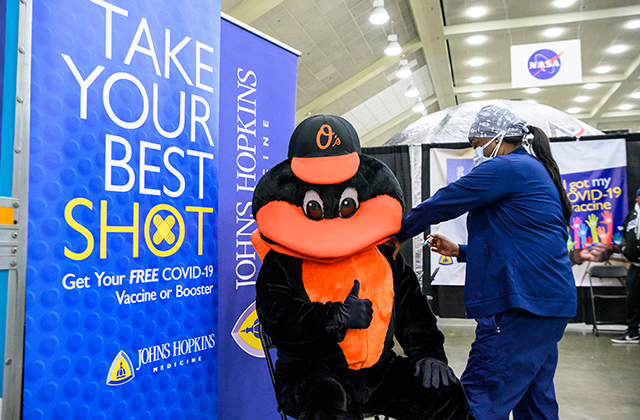 The Baltimore Orioles mascot gets a COVID-19 vaccine. 